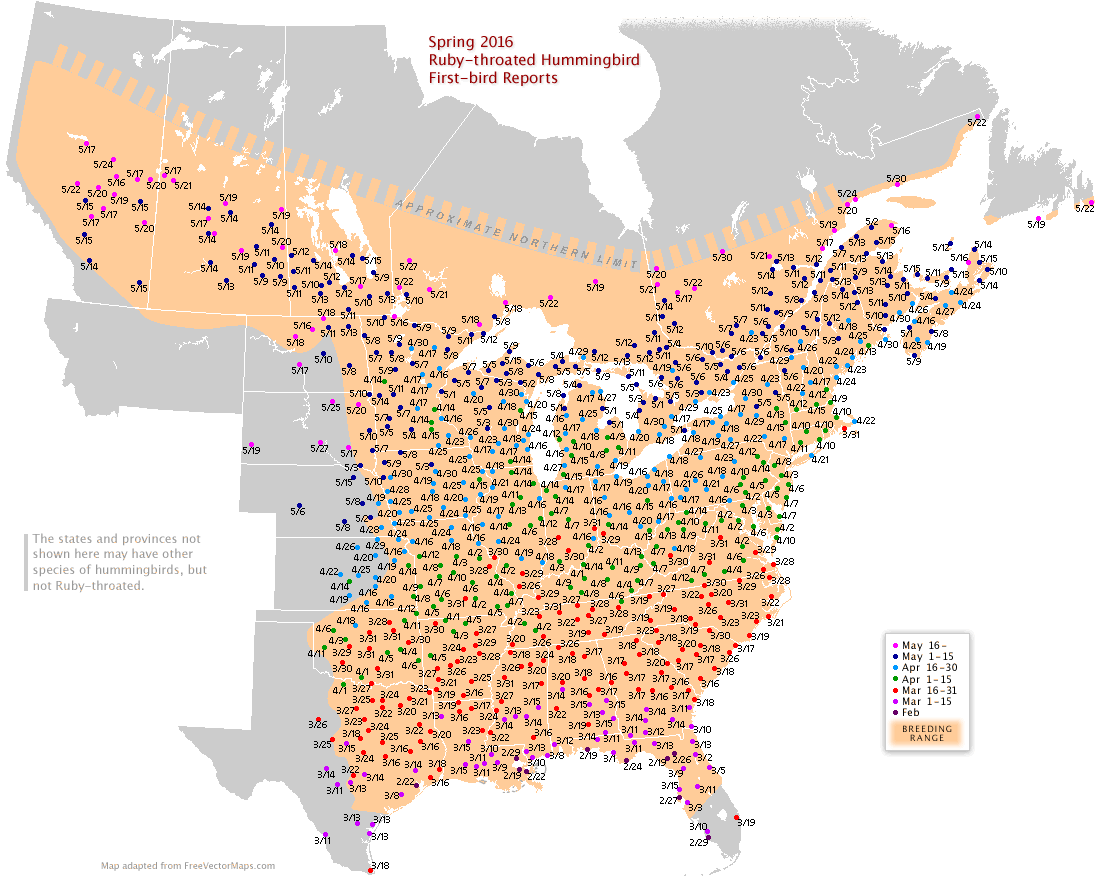 Ruby-throated map for North America