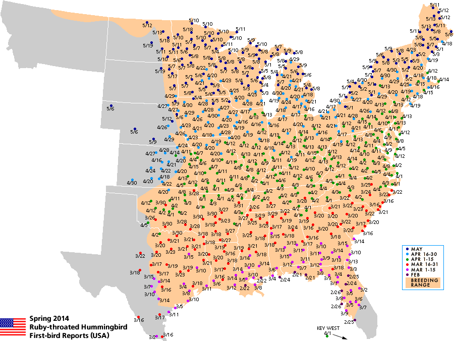 Hummingbird Migration 2024 Missouri Map Wynne Karlotte